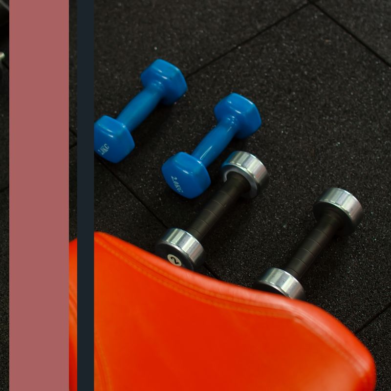 dumbbells next to a weight bench